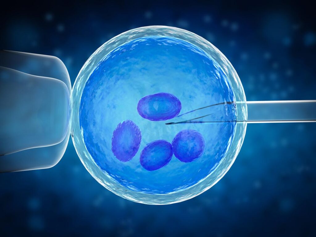 Fécondation In Vitro (FIV) en Hongrie